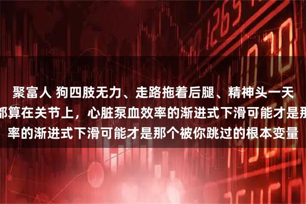 聚富人 狗四肢无力、走路拖着后腿、精神头一天不如一天？别把所有账都算在关节上，心脏泵血效率的渐进式下滑可能才是那个被你跳过的根本变量